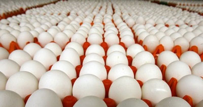 تعزیرات نرخ تخم‌مرغ درب مرغداری را کیلویی ۵۳۰۰ تومان ابلاغ کرد