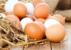 علت نرخ بالای تخم مرغ در خرده فروشی‌ها چیست؟