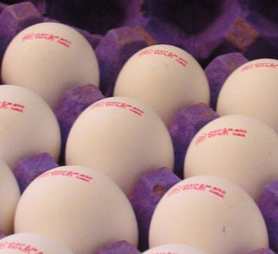 تخم‌مرغ ۴۲۰تومانی فقط در میادین تره‌بار یافت می‌شود!