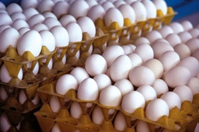 هر عدد تخم مرغ ۷۰۰ تومان شد!