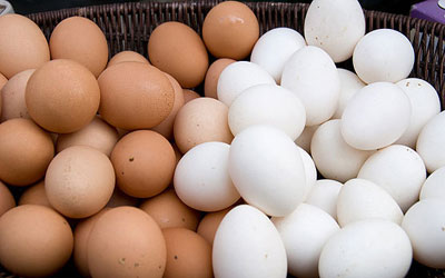 تخم‌مرغ وارداتی تا کی ارزان است؟