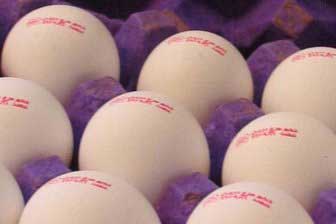 هشدار درمورد استفاده از تخم مرغ‌های قهوه‌ای
