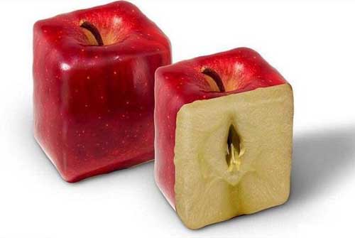 سیب و گلابی با ظاهر عجیب و غریب دیده اید؟