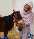 نکات جالب وخواندنی درباره اسب که نمیدانید! نکات جالب وخواندنی درباره اسب که نمیدانید!