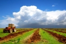 میزان دستمزدکارگران مشاغل منتخب کشاورزی میزان دستمزدکارگران مشاغل منتخب کشاورزی