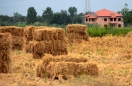 چگونه از صحت چگونه از صحت