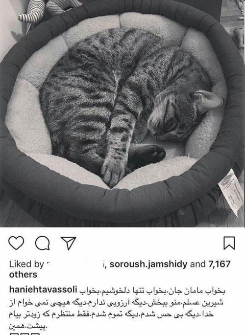 واکنش جالب کاربران به عکس‌العمل عجیب «هانیه توسلی» به مرگ گربه‌اش!