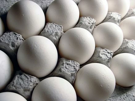 تخم‌مرغ امسال هم گران‌تر از قیمت منطقی