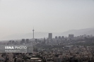 افزایش فروشندههای پول لازم در بازار مسکن شب عید افزایش فروشندههای پول لازم در بازار مسکن شب عید