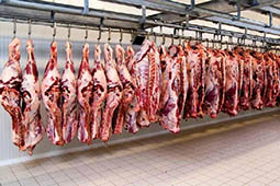 عرضه گوشت گرم گوسفندی به نرخ هر کیلو ۴۰ هزار تومان