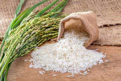 برنج چرا و چقدر گران شد؟