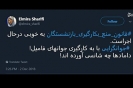 دامادها چه شانسی آوردهاند! دامادها چه شانسی آوردهاند!