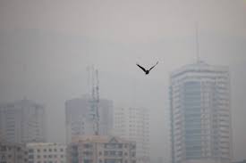 بار روانی آلودگی هوا بر بازار مسکن