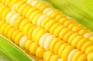 حاشیهسازی برای ذرتهای اخراجی! حاشیهسازی برای ذرتهای اخراجی!