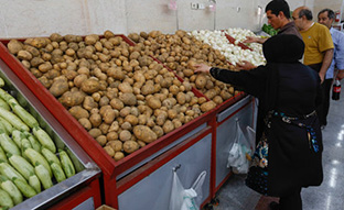 فروش سیب زمینی با خاک در میادین سطح شهر و جای خالی نهادهای نظارتی!