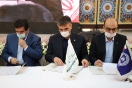 بانک کارآفرین و بنیاد برکت در جهت تحقق اهداف «جهش تولید» تفاهمنامه امضا کردند بانک کارآفرین و بنیاد برکت در جهت تحقق اهداف «جهش تولید» تفاهمنامه امضا کردند
