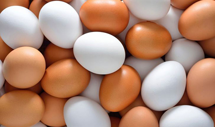 دلیل گران شدن تخم مرغ در ایران مشخص شد