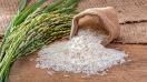 می‌خواهند برنج داخلی کیلویی ۱۰۰ هزار تومان شود/ پای صاحبان فروشگاه های زنجیره ای در میان است؟