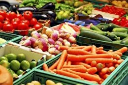 سهم صادرات محصولات غذایی و کشاورزی کشور