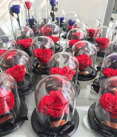 فروش گل رز ۱۵۰ هزار تومانی در تهران!