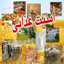 غنیسازی مواد غذایی با ریز مغذیها غنیسازی مواد غذایی با ریز مغذیها