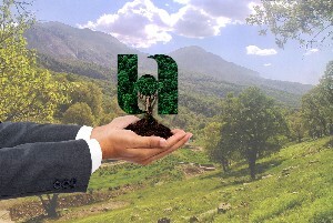 پویش کاشت 72 هزار درخت در یادمان 72 سال خدمت بانک صادرات ایران