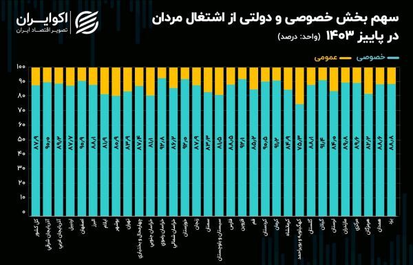 بازار کار ایران زیر ذره‌بین؛ شغل دولتی همچنان برای مردها محبوب است؟