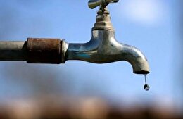 فولاد کاوه نجات بخش آهوی کوهی فولاد کاوه نجات بخش آهوی کوهی