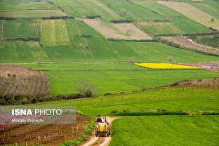 چرا سیاست‌های کشاورزی نتوانست صنعت غذا را در ایران تقویت کند؟