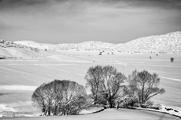پیش‌بینی هوای کشور تا پایان هفته / بارش برف و باران در مناطق مختلف کشور ادامه دارد