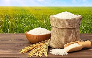2 اقدام برای ساماندهی بازار برنج/ الزام واردکنندگان برنج و روغن به عرضه کالاهای وارداتی