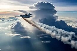 بیمه دی؛ تبدیل چالش‌های بازار به فرصت‌های رشد 