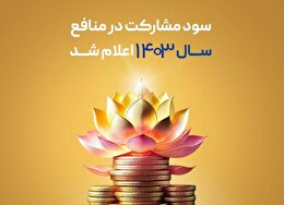 سود مشارکت در منافع سال ۱۴۰۳ بیمه پاسارگاد اعلام شد