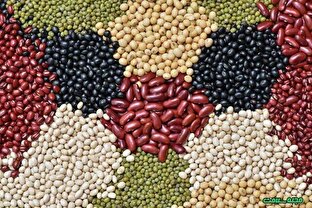 جزئیات جدید از قیمت حبوبات در بازار
