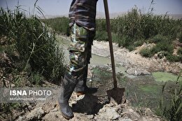 اینجا بیماری می‌کارند!