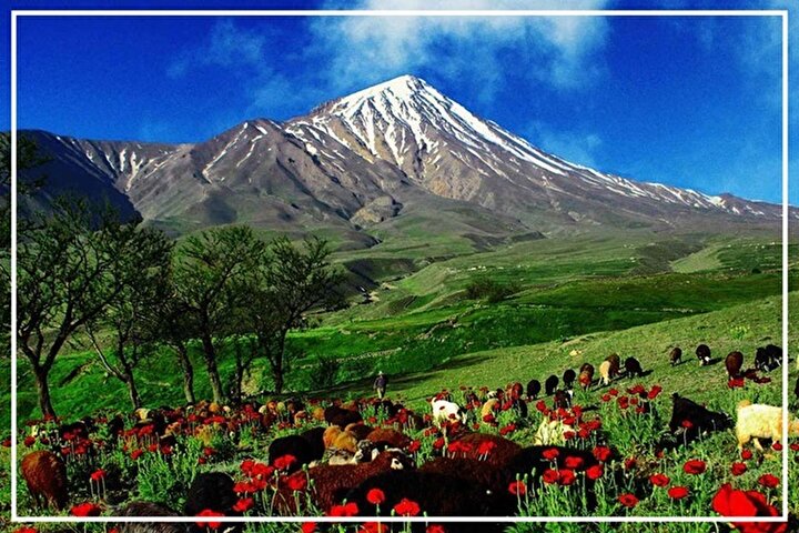 مازندران؛ از جغرافیای طلایی تا برندینگ خاموش/ صادرات کشاورزی: زمین‌های سبز، استراتژی‌های خاکستری/ هویت‌سازی فراموش‌شده: میلیون‌ها مسافر، صفر یادگاری بومی! / نگاه ویلا محور به جای رویکرد توسعه‌محور