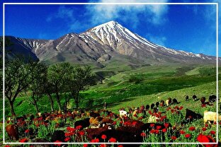 مازندران؛ از جغرافیای طلایی تا برندینگ خاموش/ صادرات کشاورزی: زمین‌های سبز، استراتژی‌های خاکستری/ هویت‌سازی فراموش‌شده: میلیون‌ها مسافر، صفر یادگاری بومی! / نگاه ویلا محور به جای رویکرد توسعه‌محور