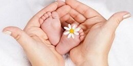 چرا ایرانی‌ها دیگر بچه‌دار نمی‌شوند؟