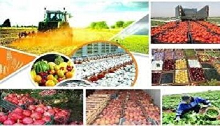 کدام خوراکی‌ها بیشترین و کمترین تورم را تجربه کردند؟
