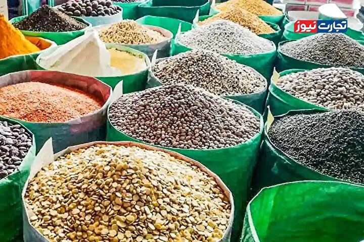 آفت و خشکسالی عامل اصلی افزایش قیمت حبوبات هستند / قیمت عمده‌فروشی لوبیا چیتی بین ۳۵۰ هزار تا ۳۸۰ هزار تومان است