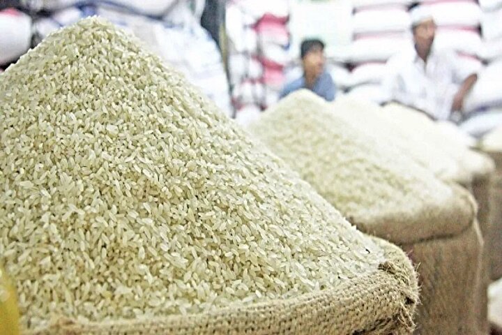 امتناع کشاورزان از فروش برنج به دلیل سود بالای دلالان