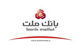 استیفای حقوق ذینفعان و سهامداران بانک ملت با تملیک ملک بدهکار اصلی پرونده چای دبش