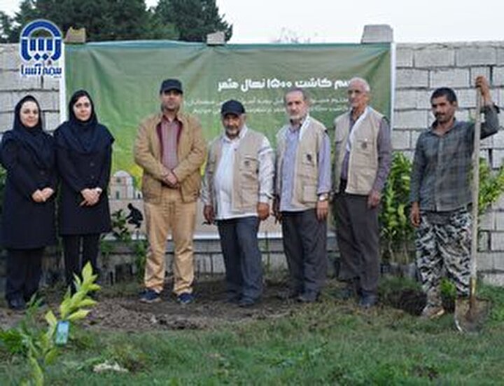 کاشت ۱۱۰۰ نهال مثمر به نام فرزندان ممتاز کارکنان بیمه آسیا