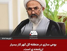 بومی سازی در منطقه گل گهر کار بسیار ارزشمندی است